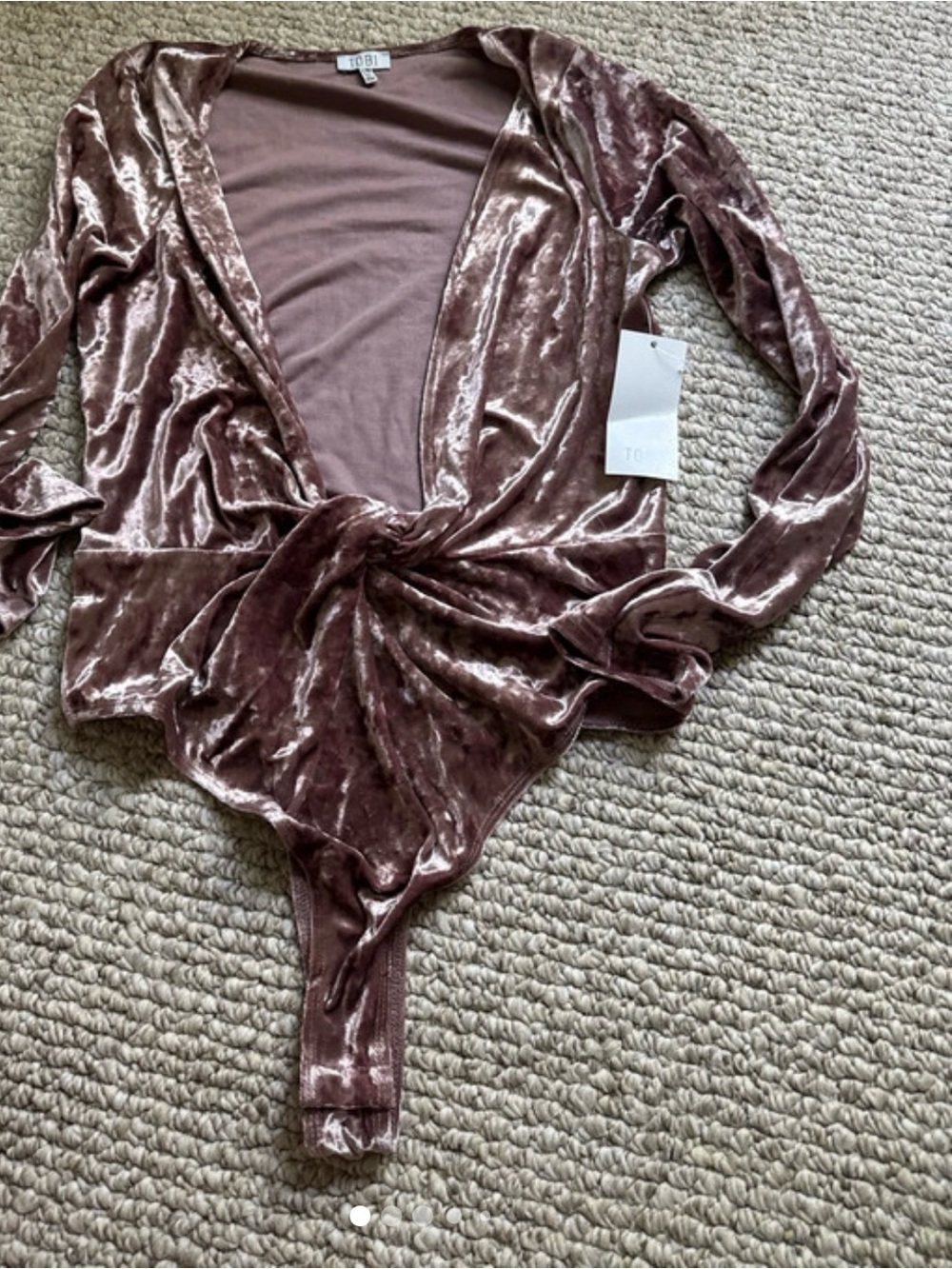 Crushed Velvet Bodysuit NWT Rose Large